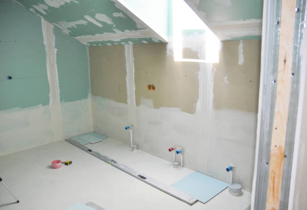 Trusted Palmview, TX Mold Removal Experts
