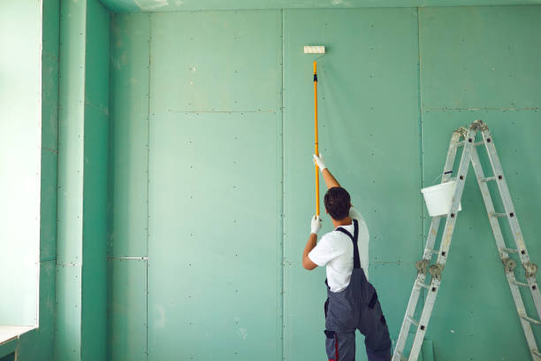 Best Comprehensive Air Testing for Mold Contaminants  in Palmview, TX