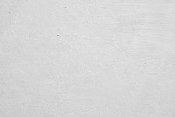 Best Mold Removal for HVAC Installations  in Palmview, TX