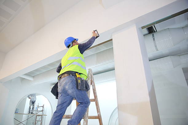 Best Mold Remediation for Healthcare Facilities  in Palmview, TX